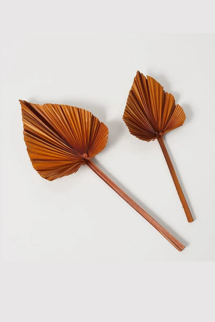 Декорация Boltze Areca (2 броя)
