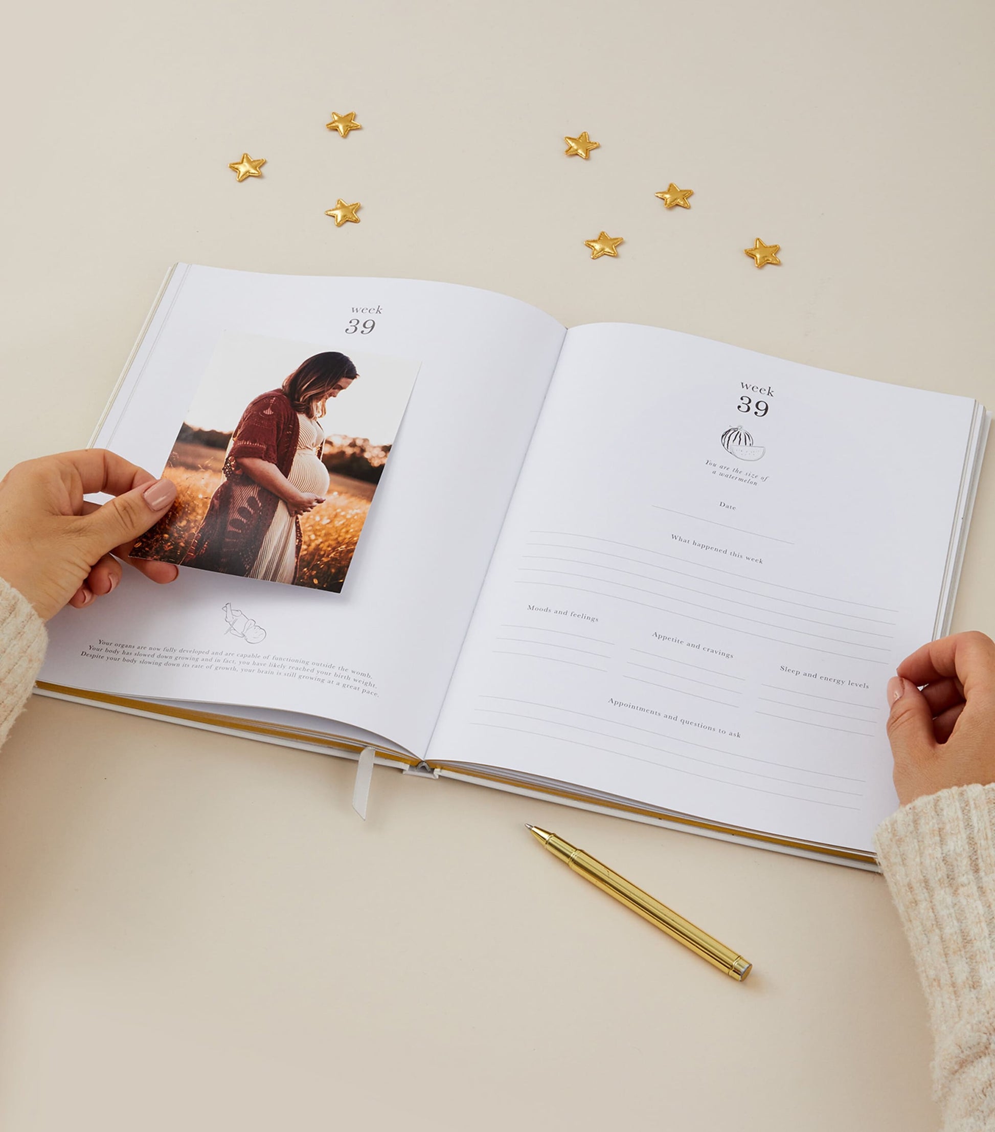 Blush and Gold My Pregnancy Journal