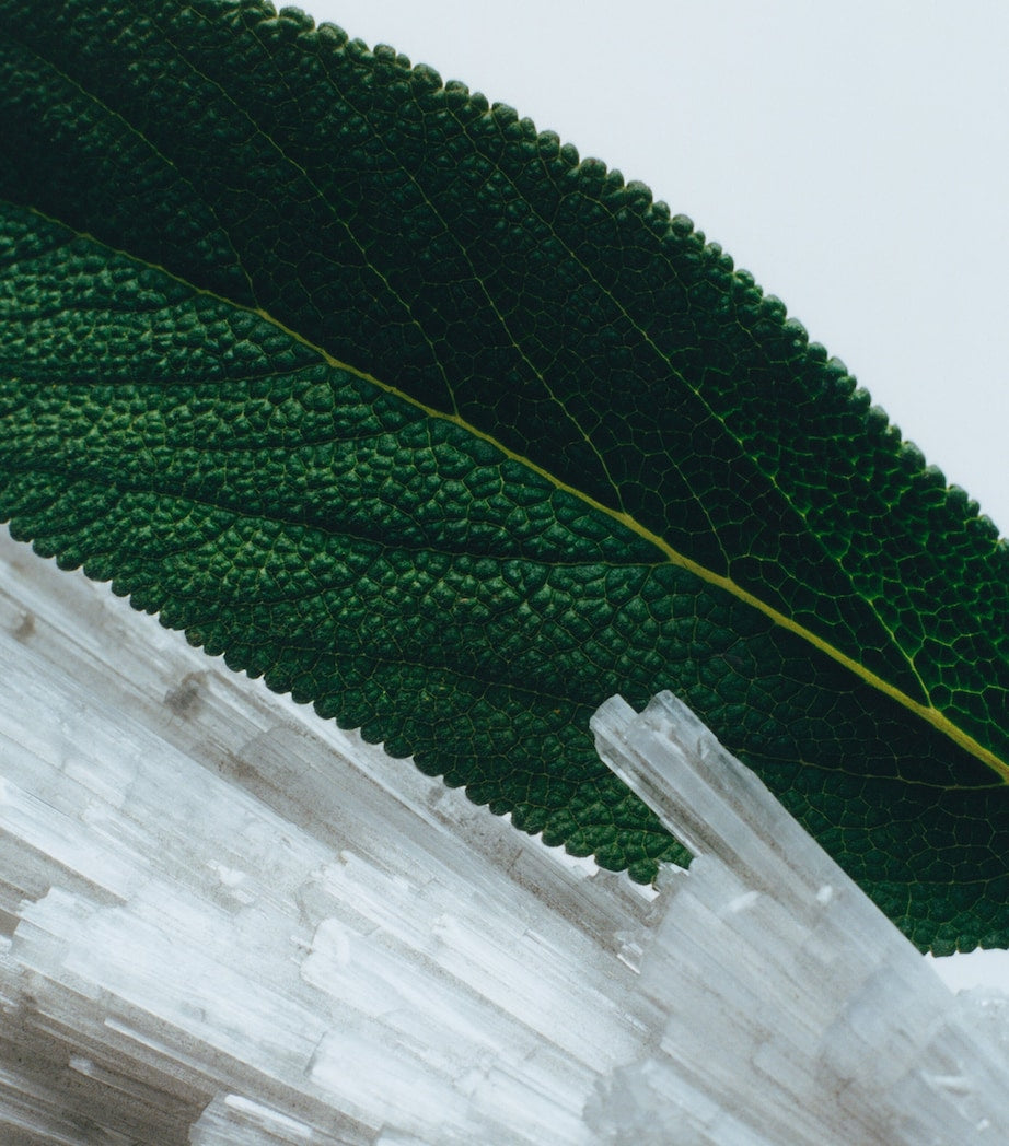 Jo Malone London Wood Sage & Sea Salt Body & Hand Wash (500ml)