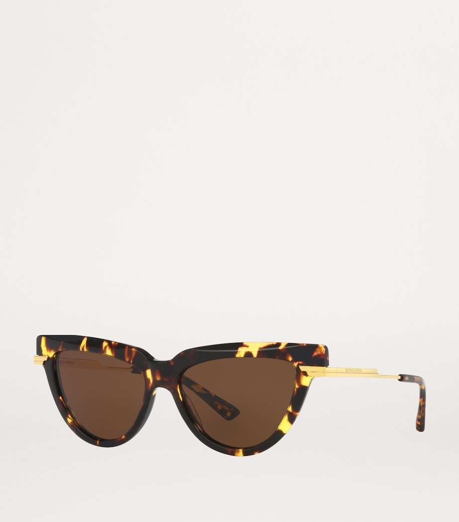 Brown Acetate 06J000421 Sunglasses