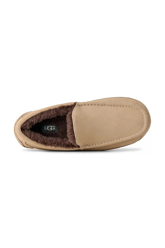 UGG M Ascot Süet Mokasen