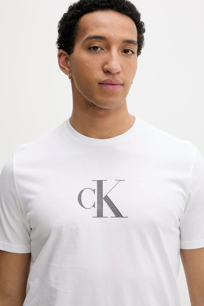 Calvin Klein erkek pamuklu tişört