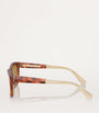 Brunello Cucinelli Brown Acetate BC4003S Sunglasses