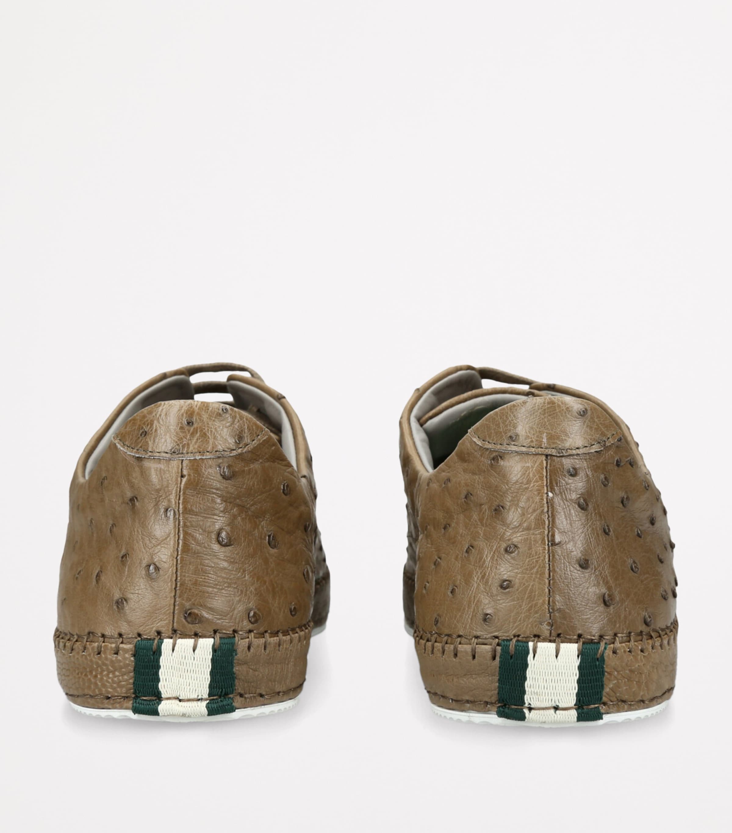 Brotini Ostrich Sneakers