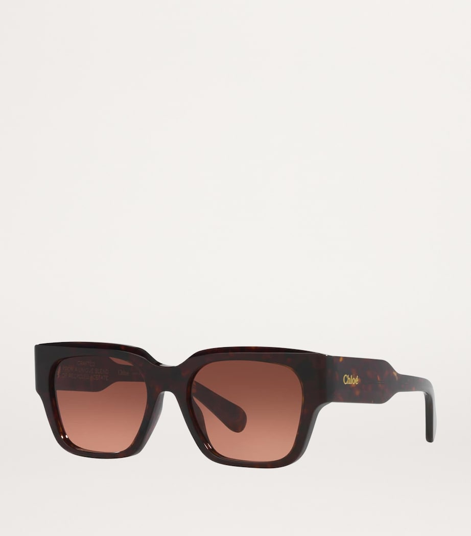 Brown Square Sunglasses