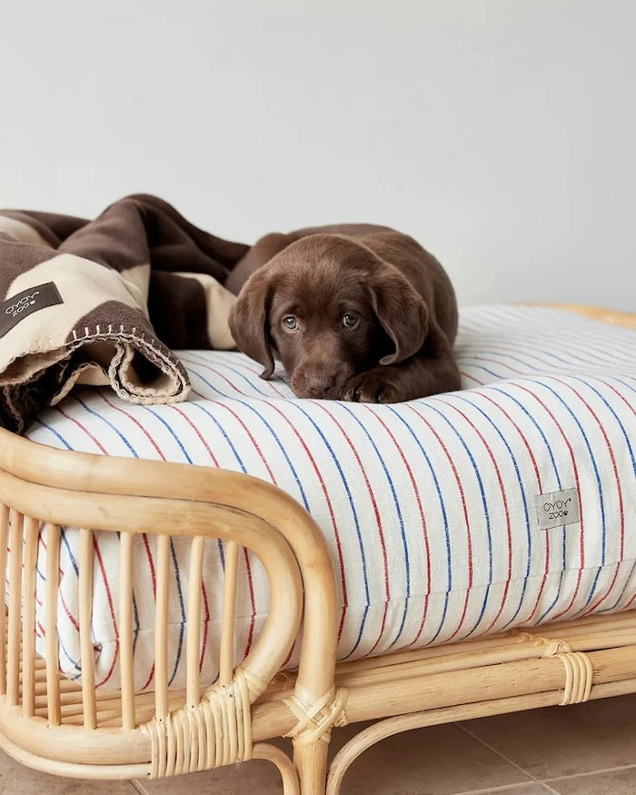 OYOY Kaya L Evcil Hayvan Battaniyesi