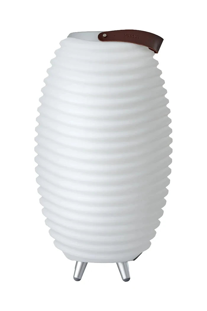 Hoparlörlü ve saklama alanlı Led lamba Kooduu Synergy 50