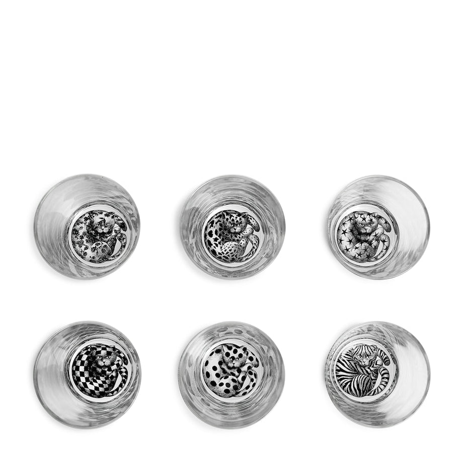 Set of 6 High Fidelity Tumblers