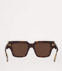 Brown Acetate BV1276S Sunglasses