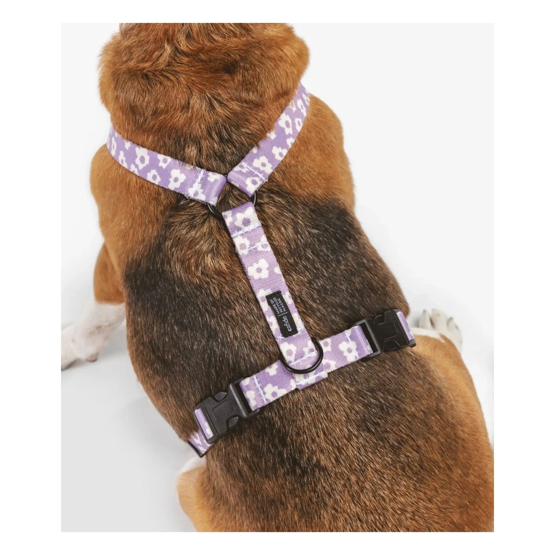 Cafide - Juno dog harness | Lilac
