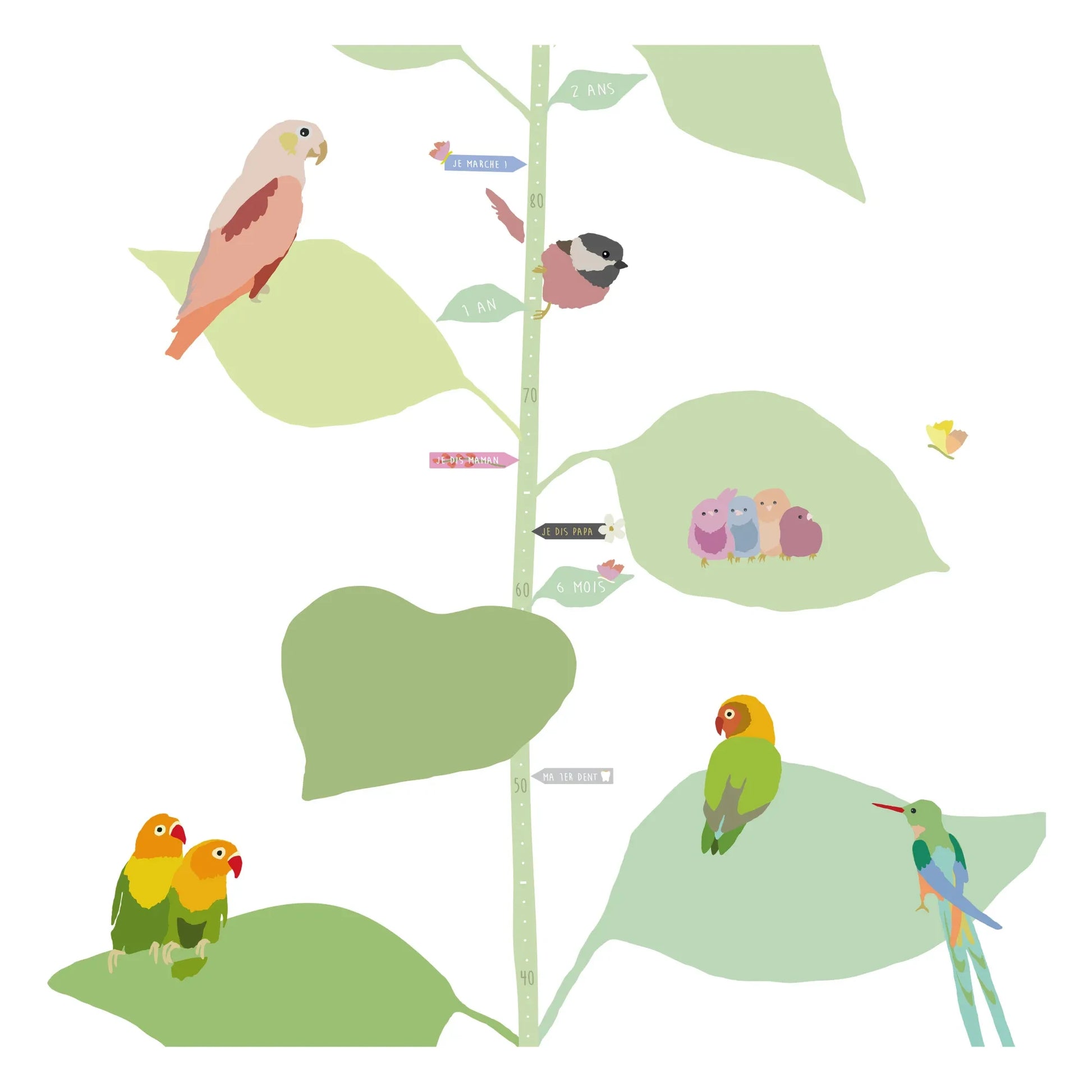 MIMI'lou - With The Birds Height Growth Chart - FR