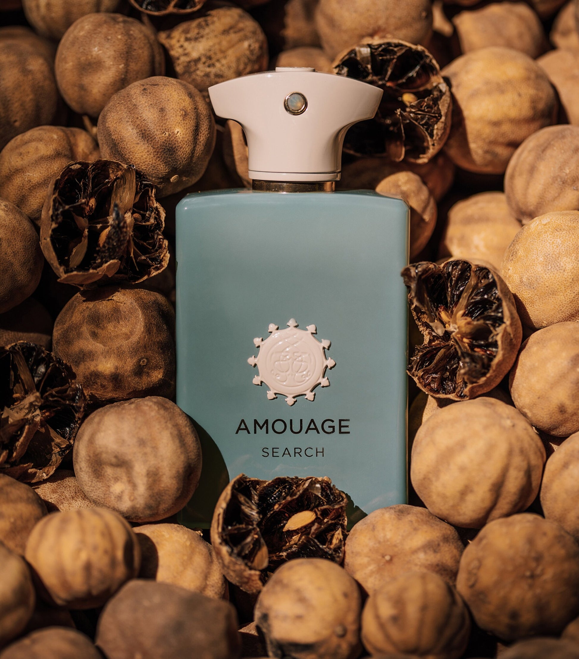 Search Eau de Parfum (100ml)