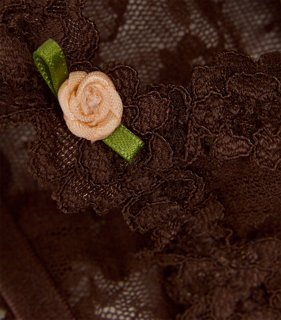 Stretch Lace Triangle Bralette ESPRESSO