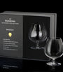 Elegance Brandy Glass