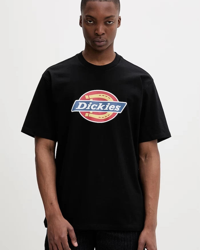 Dickies erkek pamuklu tişört