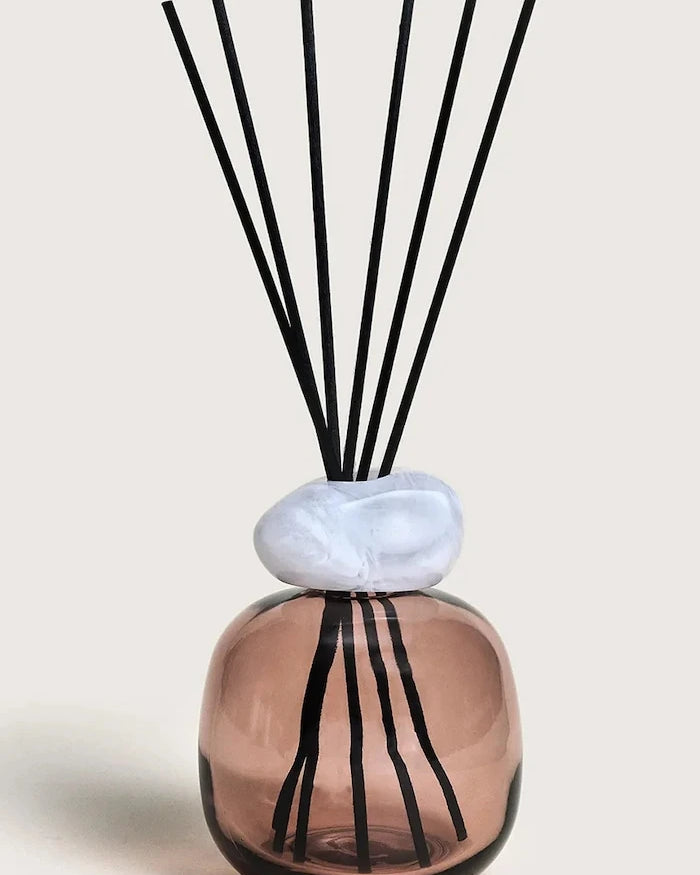 Maison Berger Paris Kokulu Difüzör 260 ml