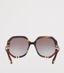 Brown Acetate 06N000422 Sunglasses