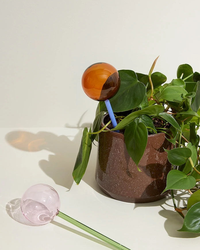 Hübsch Flora Aqua Çiçek Sulama Kabı