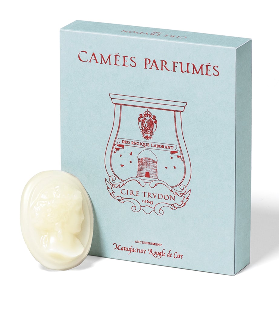 La Promenuse Ernesto Glass Diffuser