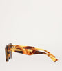 Brown Acetate BV1283S Sunglasses