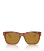 Acetate BC4003S Sunglasses