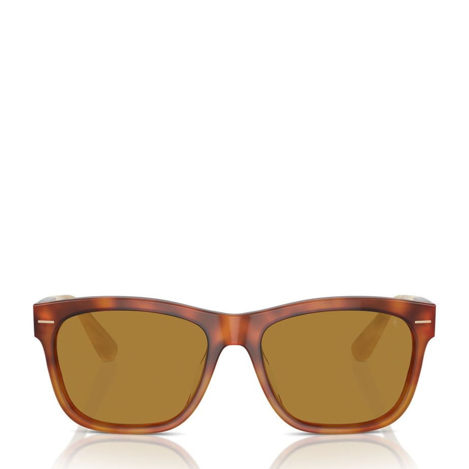 Acetate BC4003S Sunglasses