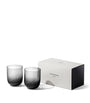 Set of 2 Optic Smoke Tumblers (350ml)
