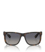 RB4165 Justin Classic Sunglasses