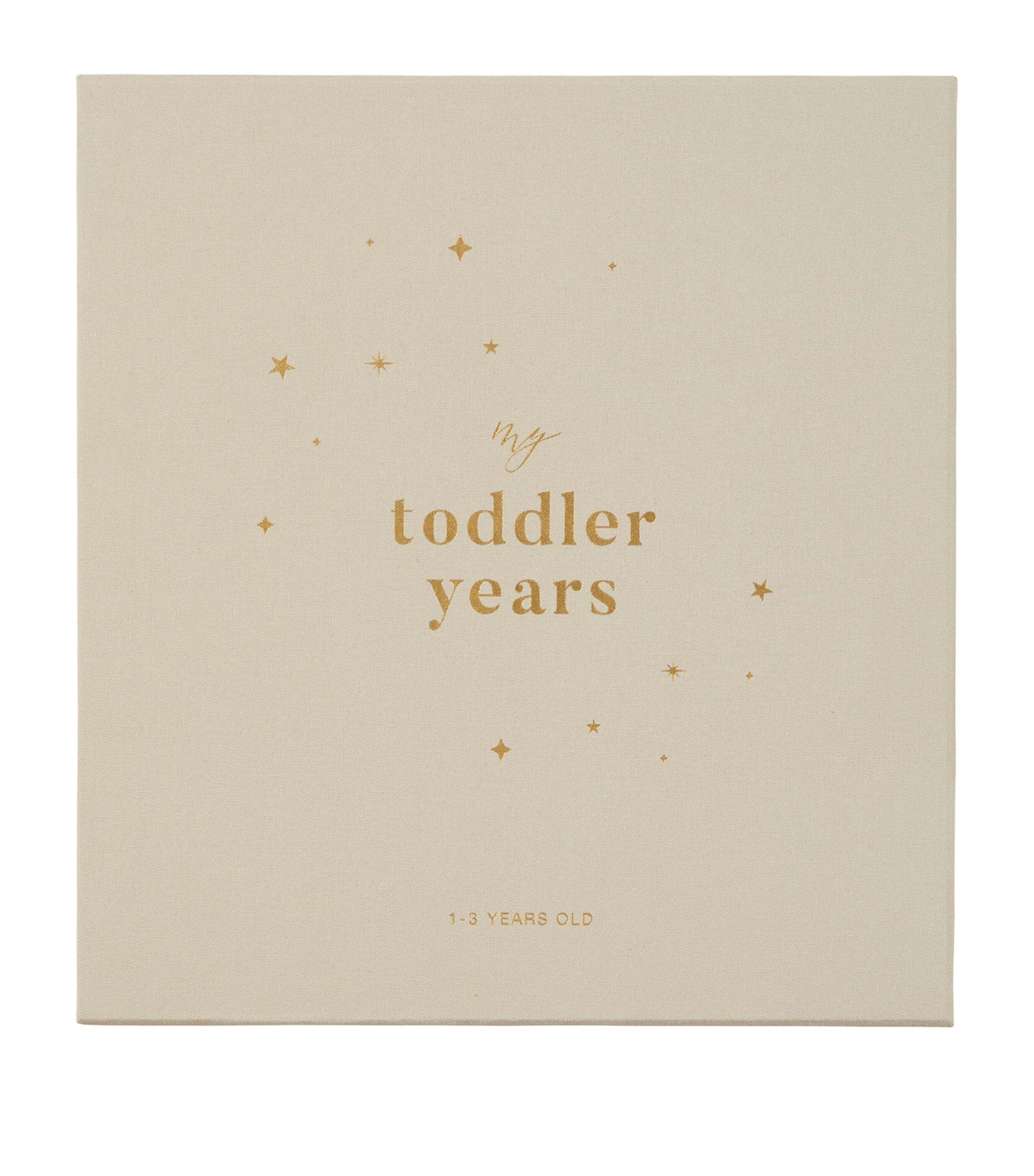 Blush and Gold My Toddler Years Photo Album