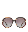 Brown Acetate 06N000422 Sunglasses
