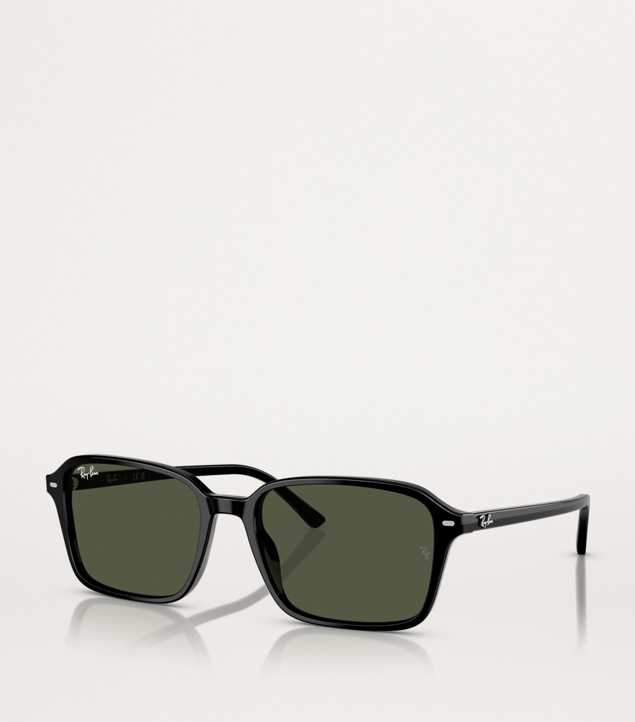 Ray-Ban Black RB2231 Raimond Sunglasses