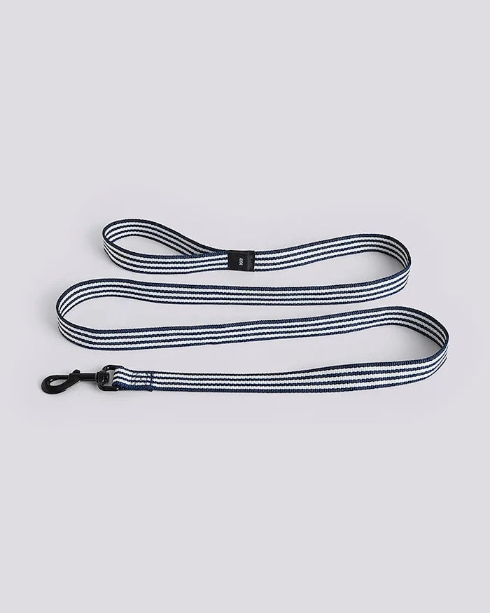 HAY Köpek Tasması M/L