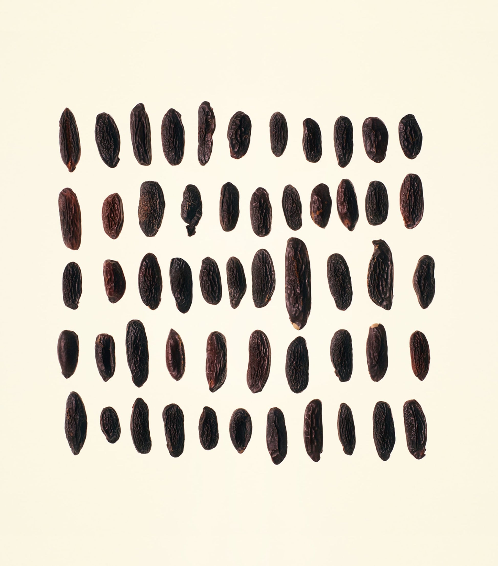 Amber Heath Eau de Parfum (100ml)