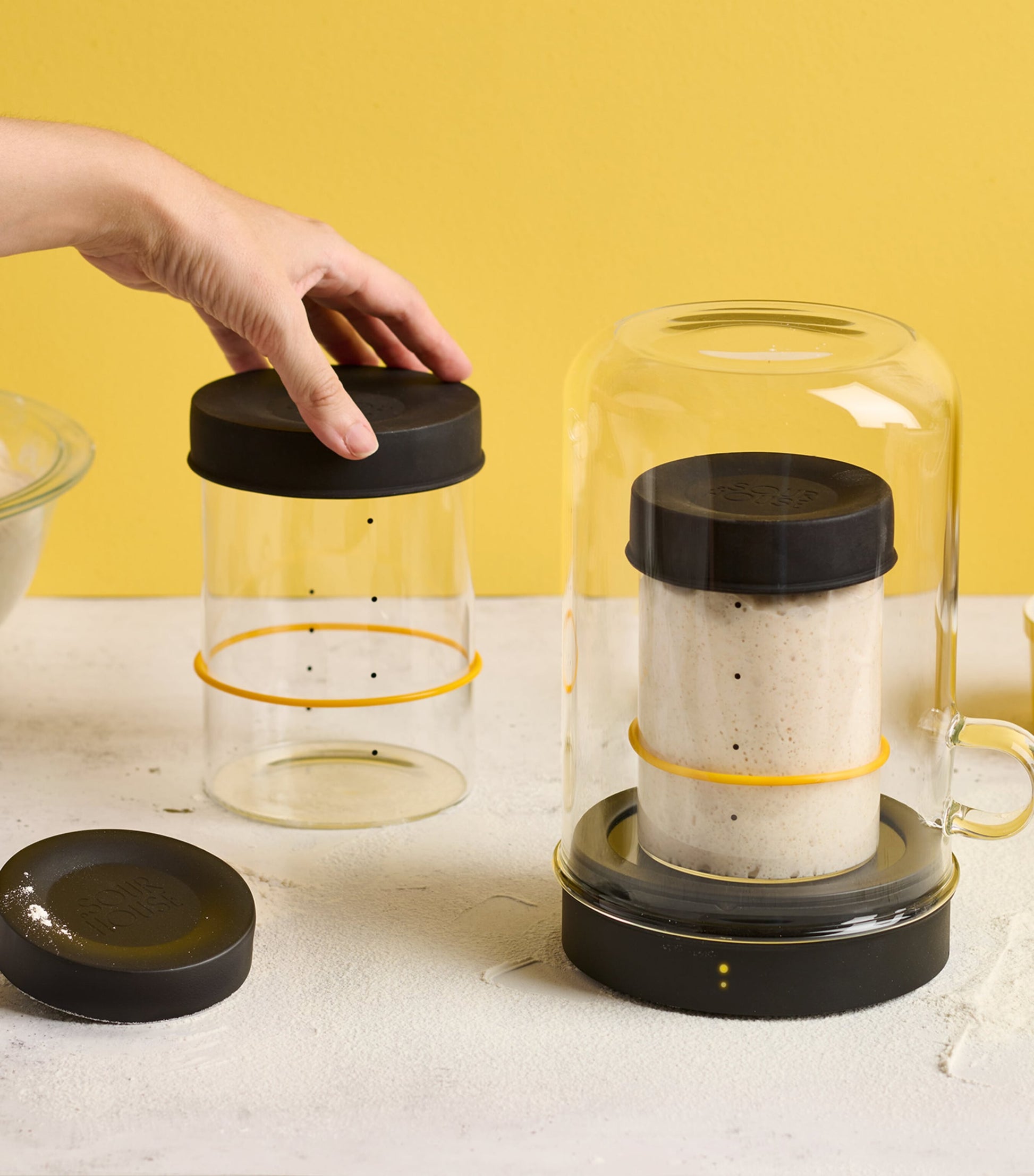 Goldie Heated Sourdough Starter Kit