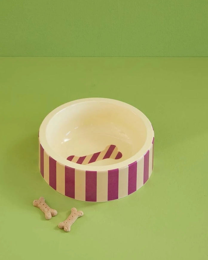 Rice Köpek Kasesi