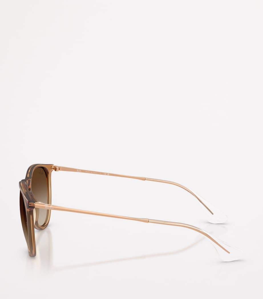 Ray-Ban RB4171 Erika Classic Sunglasses