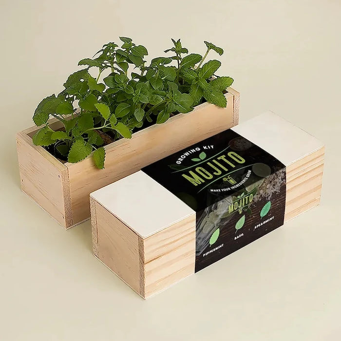 RESETEA Mojito Bitki Yetiştirme Seti 21 x 7,8 x 6,5 cm