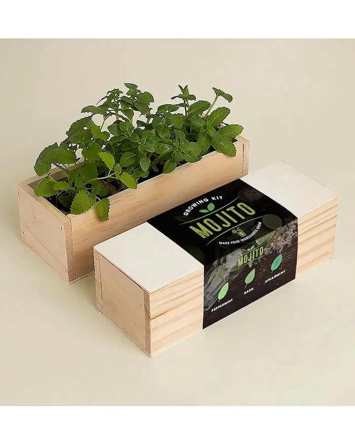 RESETEA Mojito Bitki Yetiştirme Seti 21 x 7,8 x 6,5 cm