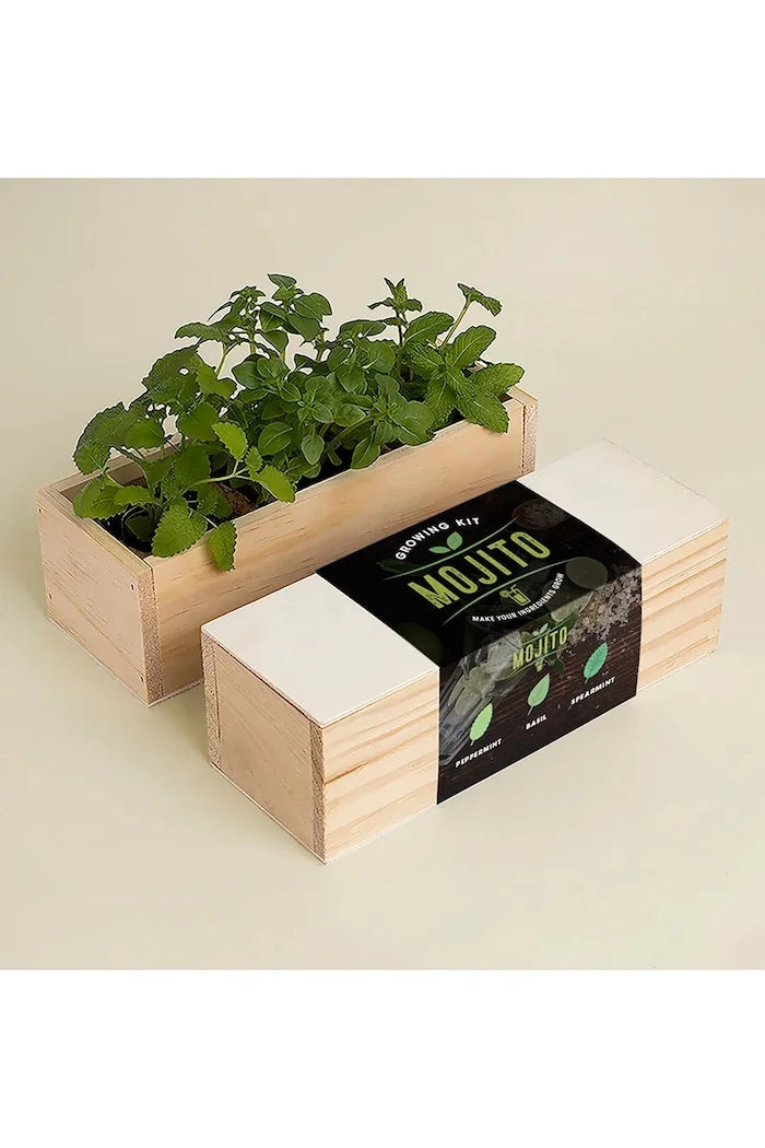 RESETEA Mojito Bitki Yetiştirme Seti 21 x 7,8 x 6,5 cm