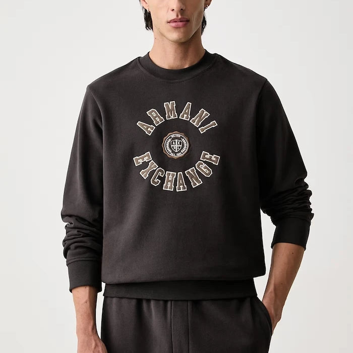 Pamuktan erkek sweatshirt