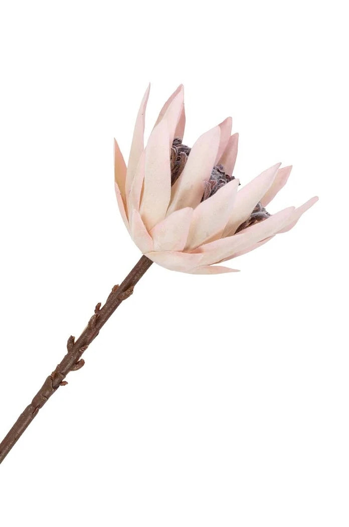 Изкуствени цветя House Nordic King Protea Bouquet