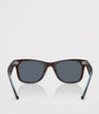 Brown Acetate Wayfarer Sunglasses