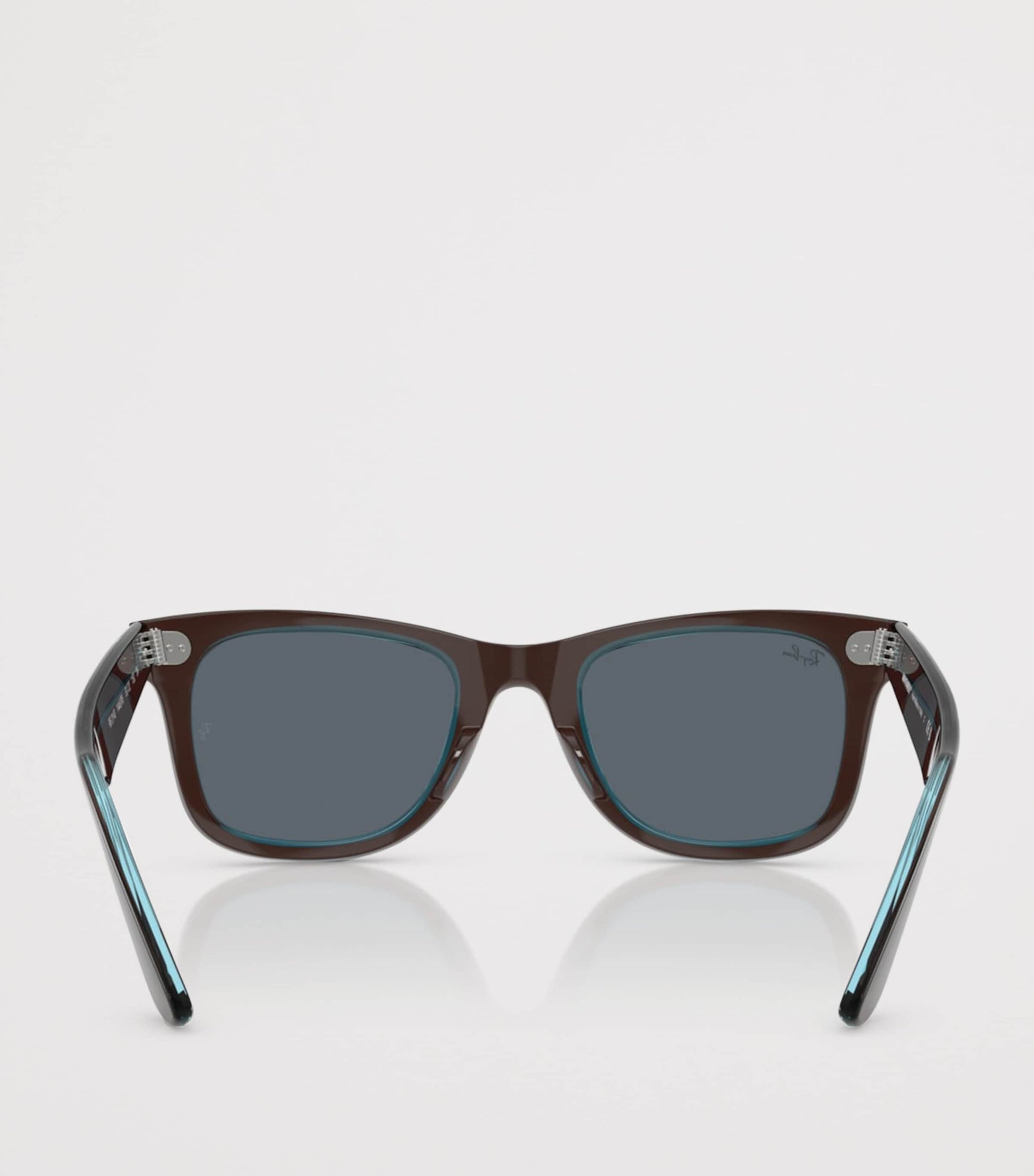 Acetate Wayfarer Sunglasses