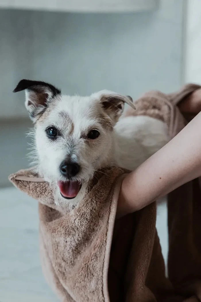 PAIKKA köpek 40 x 110 cm