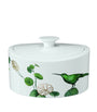 Villeroy & Boch Avarua Gifts Box