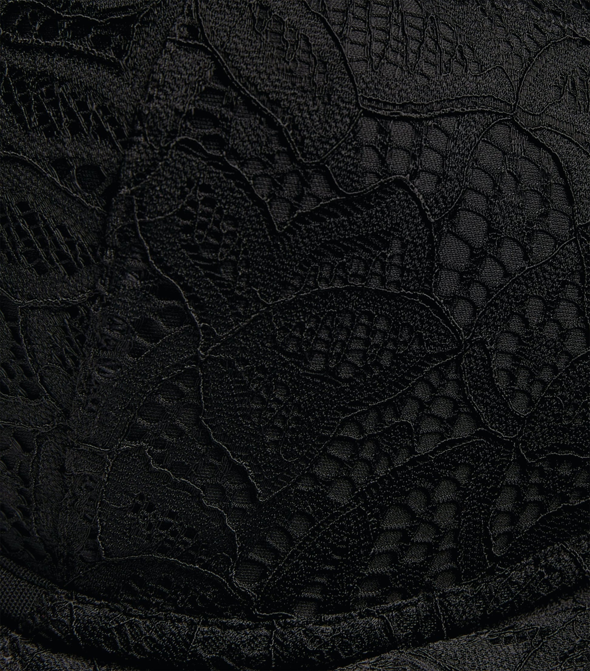 Black Raffine Plunge Bra