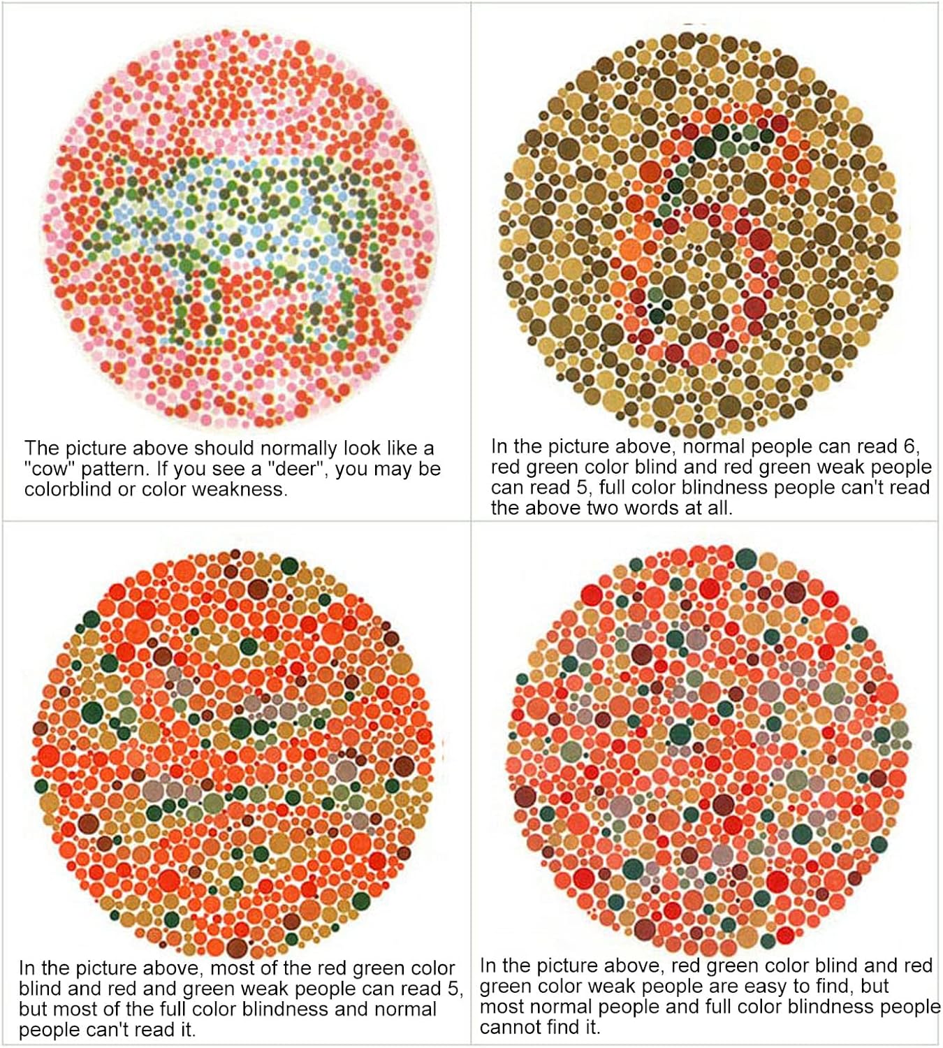 ColorsU - Indoor & Outdoor Deutan and Protan Colour Blind Glasses