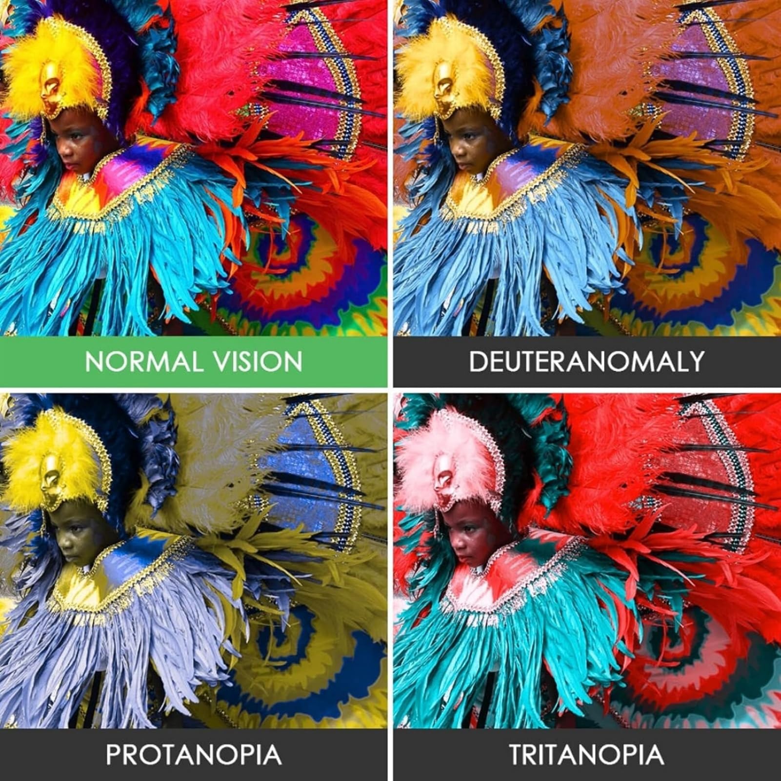 Dwbulndok - Outdoor Deutan and Protan Colour Blind Glasses