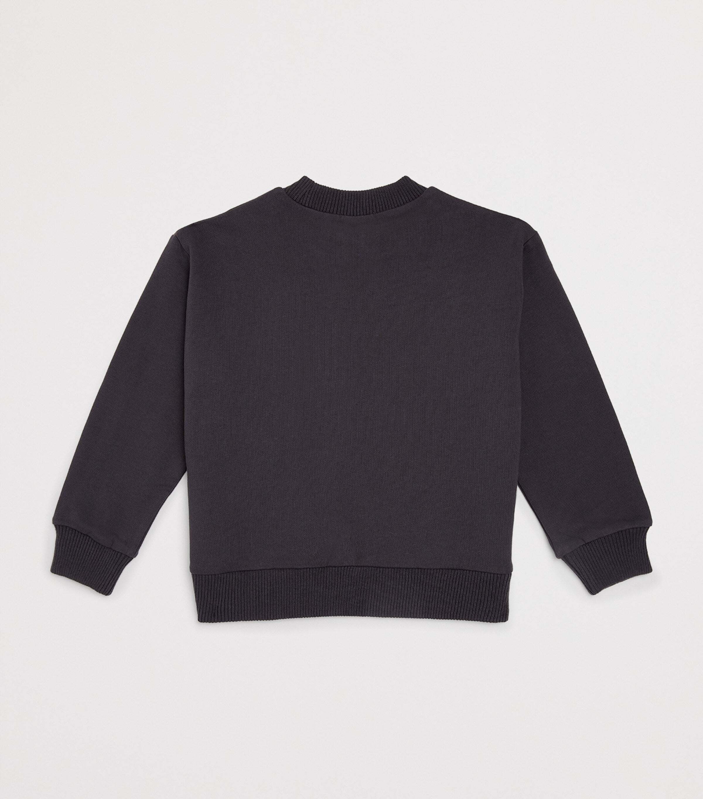 Cotton Graphic Sweatshirt (2-6 Years)