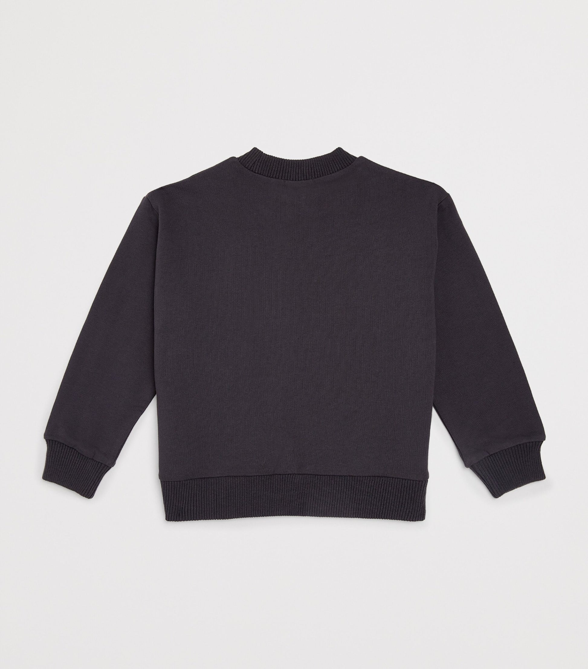 Cotton Graphic Sweatshirt (2-6 Years)